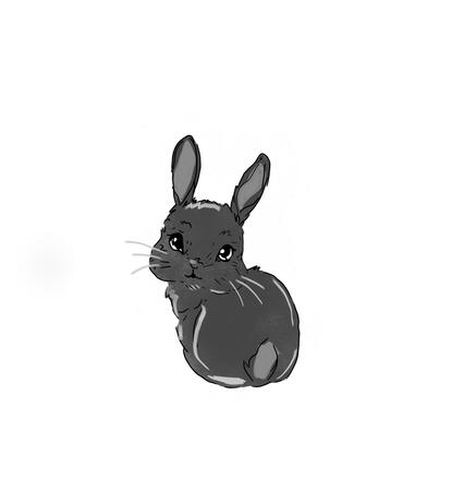 Bunny 2