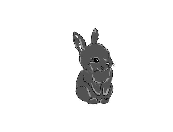 Bunny 5